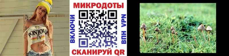 цены наркотик  Тулун  Псилоцибиновые грибы GOLDEN TEACHER 